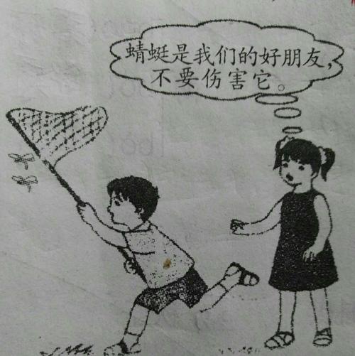 其它 朵朵的写话(副本) 写美篇          一天,小明想去捉蜻蜓.