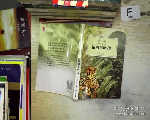 情豹布哈依(沈石溪 著)_简介_价格_童书书籍_孔网