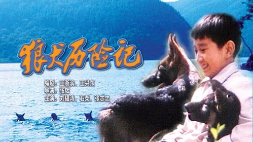 狼犬历险记的介绍
