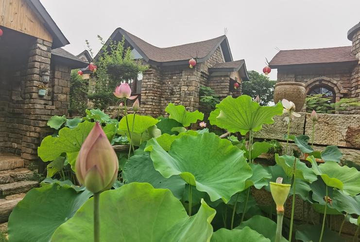 【嘉鱼县景点图片】官桥八组旅游区