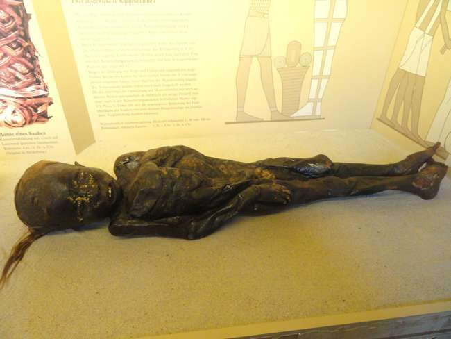 原创胆小慎入盘点30张足以让我们感到惊叹的木乃伊照片