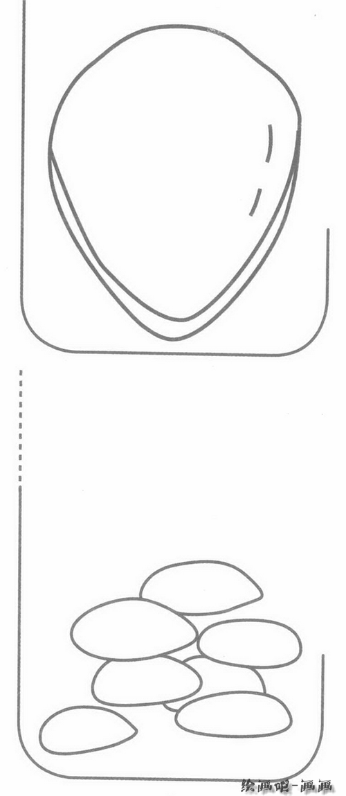 松子简笔画分解步骤图教程