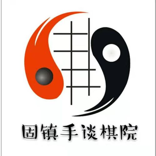 少儿围棋 智慧传承