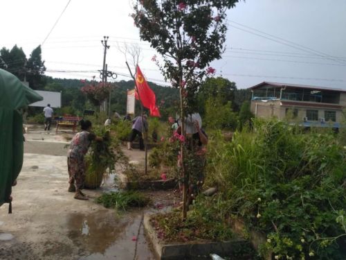 三台县金石镇党员群众积极参加"我为环保尽份力"的主题活动