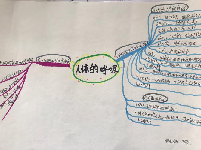 地生教研组之2020学生思维导图