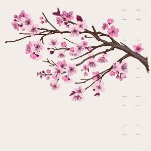 春天樱花素材粉色桃花树小鸟卡片树枝花朵矢量图ai设计素材ai313-淘宝