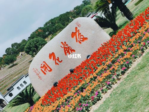 台州拍照‖温岭后岭花开嬉戏谷_拍照_台州_后岭花开