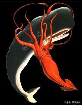 大王乌贼与大王浆鱿谁更大?它们能吃掉抹香鲸吗?