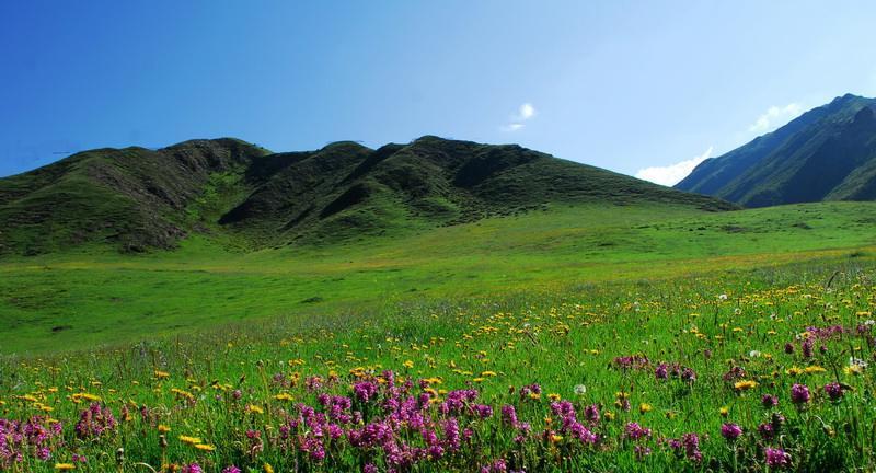 一家一车走甘南,自驾的天堂,步步有景色,处处有信仰