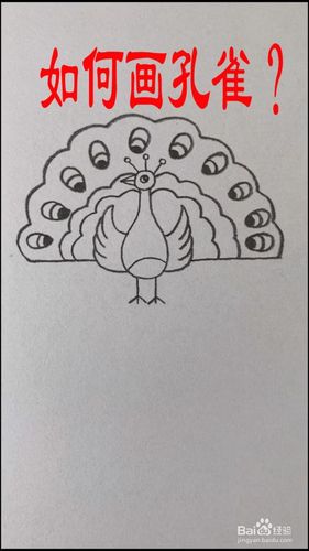 如何画孔雀?