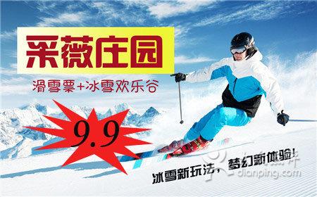 [杏花岭区] 采薇庄园滑雪场