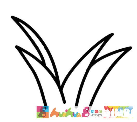 一棵小草简笔画图片怎么画简单好看