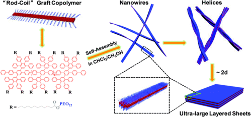 to 2d hierarchical self-assembly of a rodccoil graft copolymer