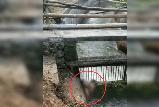 广西某水电站拦网处发现一具女尸,已经巨人观