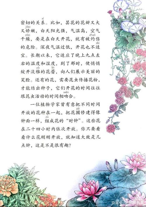 在家也乐学,三年级(下)第十三课《花钟》,课文解析来啦!