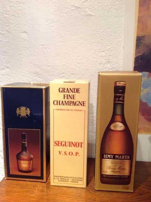 pierre seguinot (1970s), gaston de lagrange (1980s) and rémy