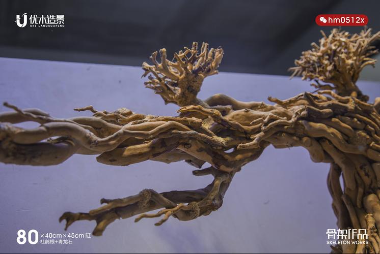一款杜鹃根造的迎客松莫斯树草缸造景骨架