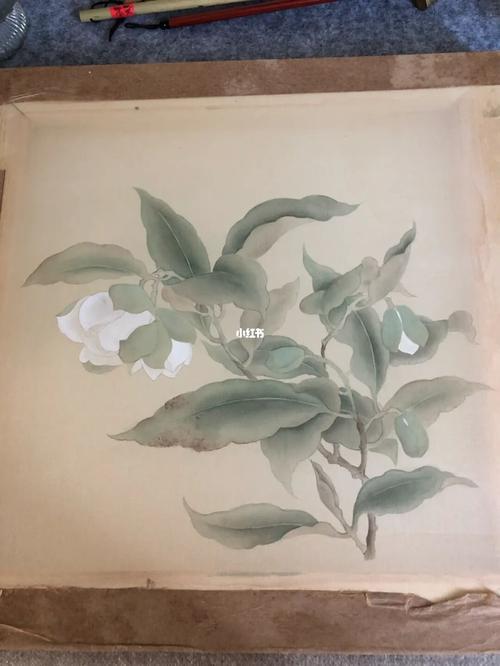 夜合花图步骤图_工笔画_文化_绘画