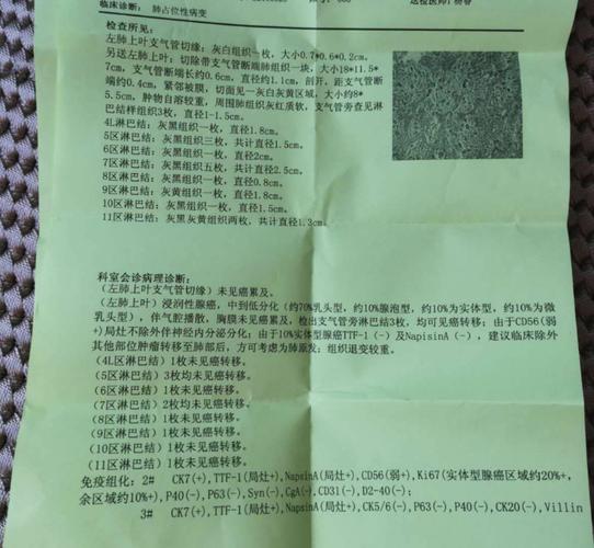 病理报告如何看_圈子 - 肺癌帮