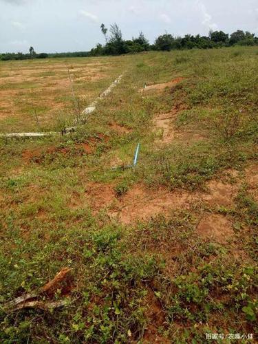 为什么农村出现荒地无人种?国家会出什么政策扶持农民?