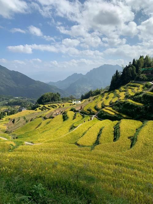 丽水_自驾游_二日游_小吃_云和梯田景区攻略_古堰画乡景区攻略_烧烤