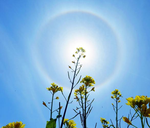 日光 太阳光 未来派的