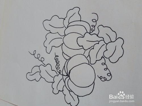 长在地里的南瓜简笔画步骤