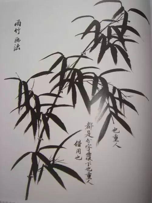 竹子画法,一步步学会画竹子!|叶子|竹叶|用笔|浓淡