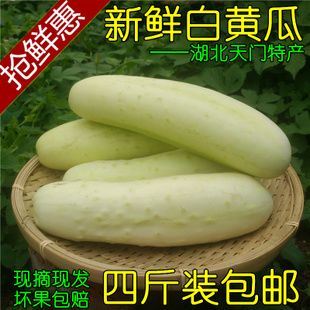 新鲜白黄瓜 湖北农家自种现摘白皮黄瓜油瓜黄瓜菜瓜应季 新鲜蔬菜