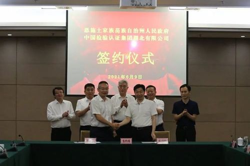 中检集团与恩施州政府签署战略合作协议恩施州人民政府常务副州长丁辉