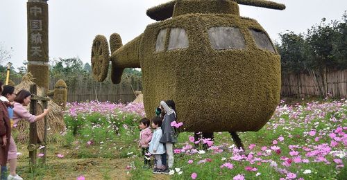 【电子票】田园乐翻天成人票 大门票