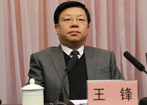 市委书记王锋同志出席会议并发表讲话