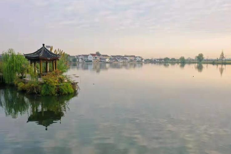 美丽乡村入画来嘉善县陶庄镇汾南村