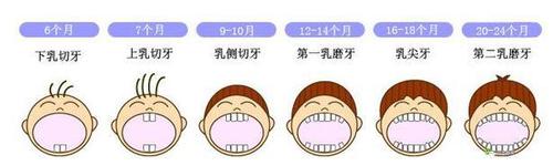 你家宝宝几个月长牙?关乎口腔发育,妈妈别错过他成长