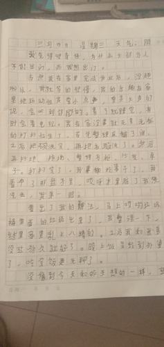 岳阳学校"和雅班" 《创写绘》日记作业集(3月4日 星期三 )