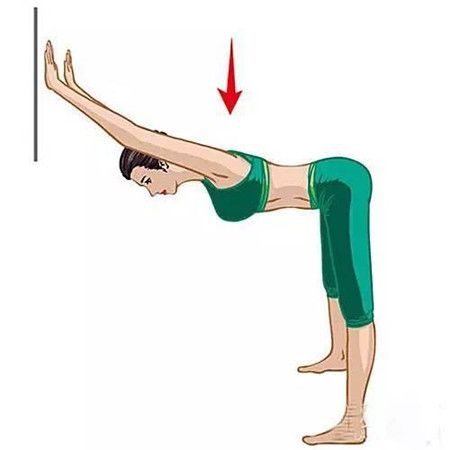 com 2.腰部的牵拉:(1)坐位体前屈;(2)俯卧撑起. 3.