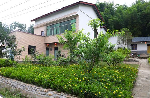 杨乐村群众房前屋后种植了鲜花果树. 通讯员 陈刚 摄