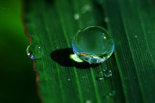 精彩的微观世界