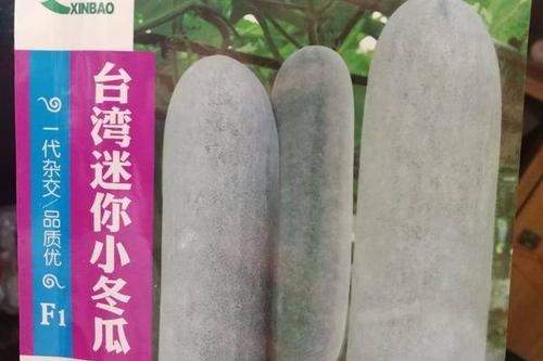 0/袋 冬瓜种子 早熟欣宝台湾迷你小冬瓜