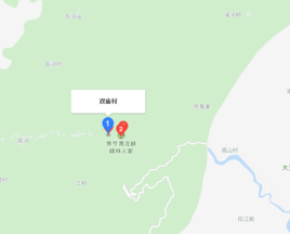 双庙村