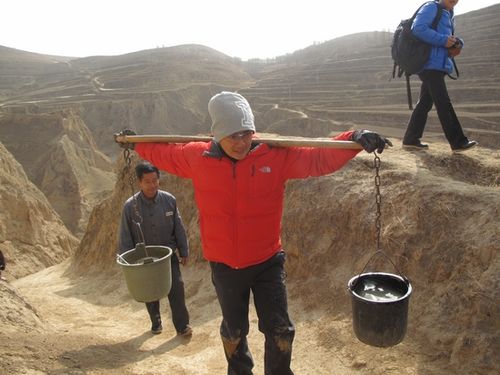 盘点:郑秀文领衔去农村体验贫困农户生活的十大明星(图)