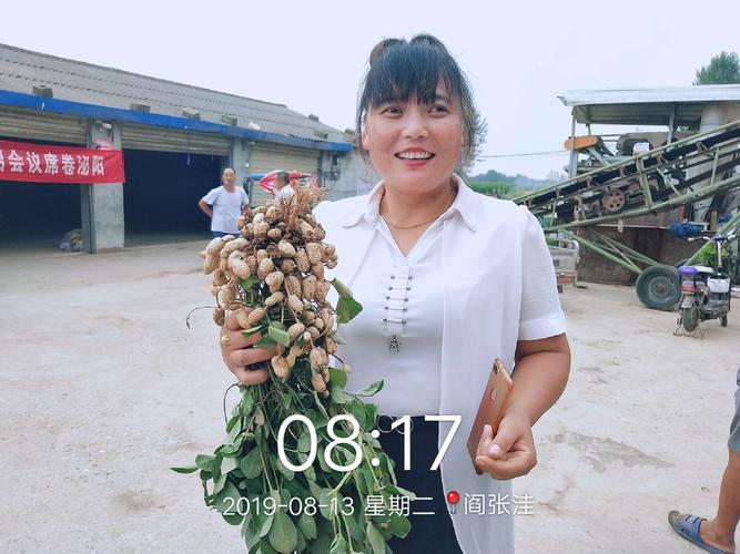 第十六场芸乐收最美花生评选电话邀约转介绍会议席卷泌阳(二铺杨莲