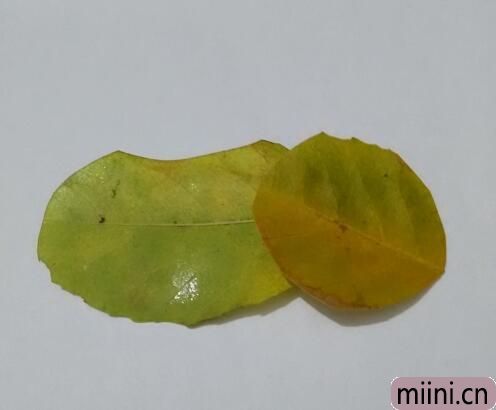 用树叶制作大象的树叶贴画步骤教程