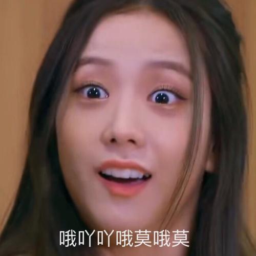 blackpink粉墨jisoo-表情包 .