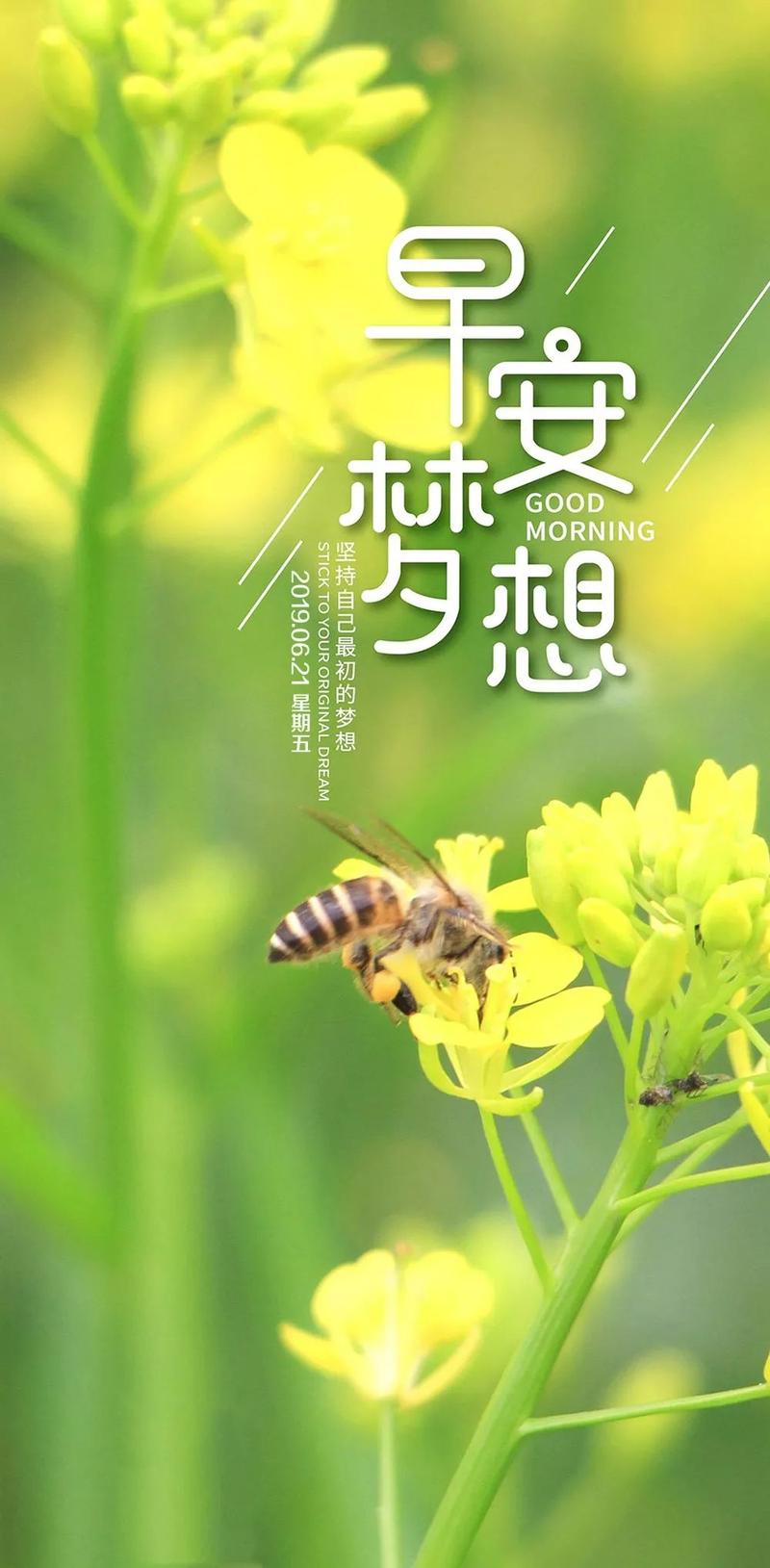 周五早安心语正能量暖心语句 夏至特漂亮早上好图片正