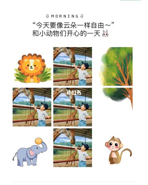 动物园 农场 遛娃 九宫格素材文案_动物园_九宫格_迷失_亲子_美景
