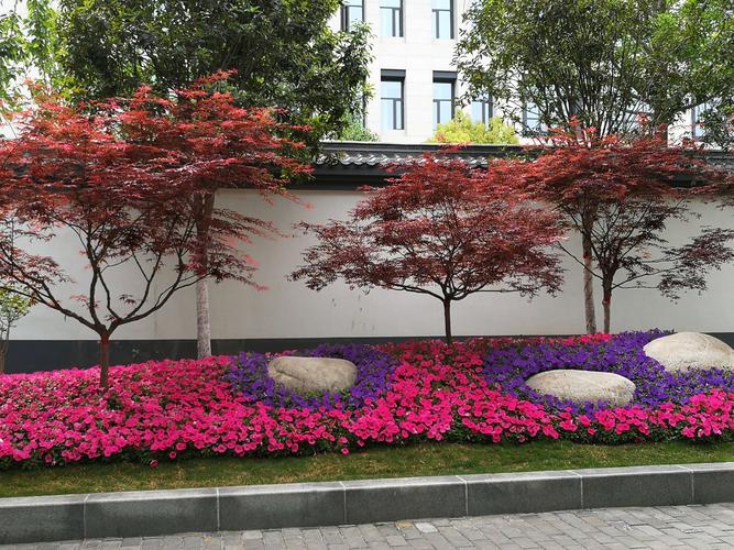 雁塔路有个带状花坛美不胜收 令人眼前一亮