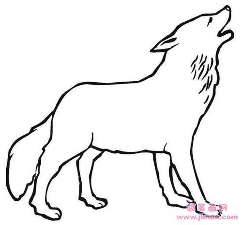 狼的图片简笔画图片大全
