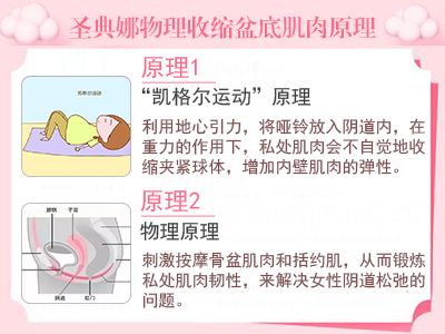 圣典娜教你如何正确做凯格尔运动