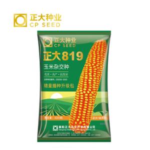 正大玉米种